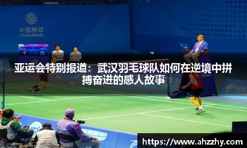 wm365完美体育官方网站